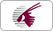 Airline Logo